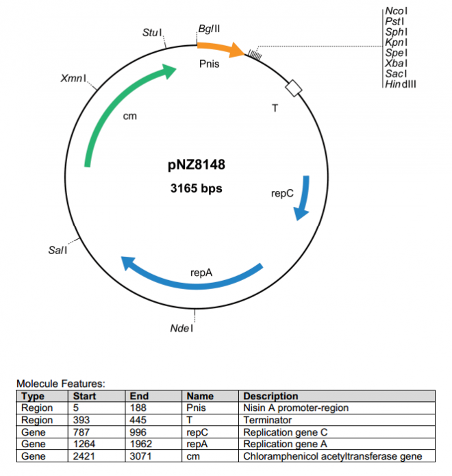 pNZ8148 载体图谱